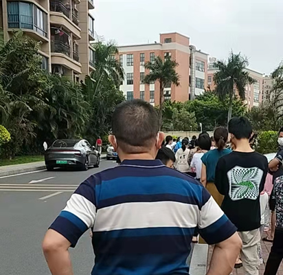 �¹����鷴��