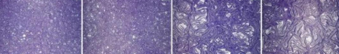 UV�w�Ї�����Ĥ